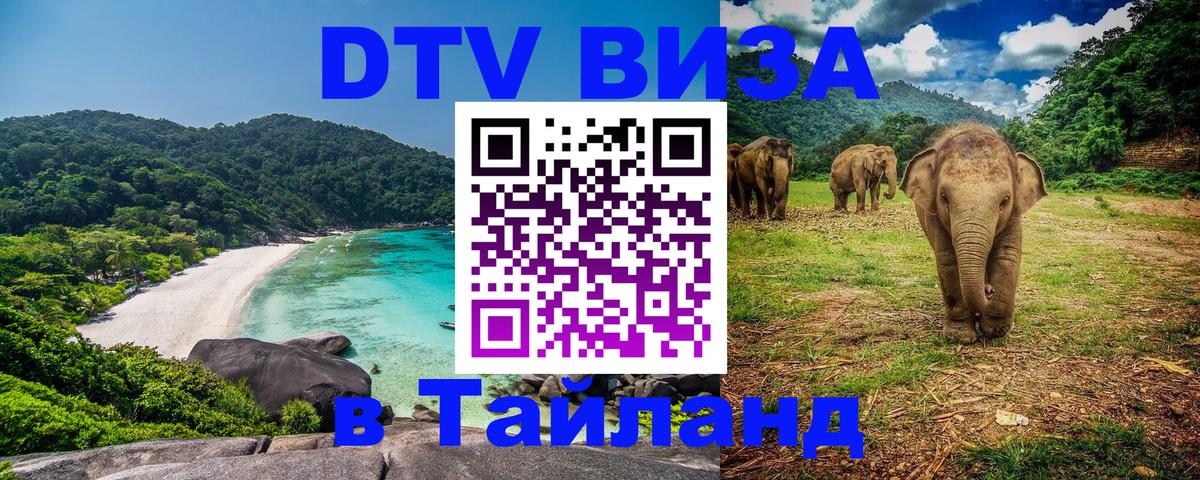 Оформление DTV визы под ключ: стоимость и тарифы, только загранпаспорт - 21.11.2025 